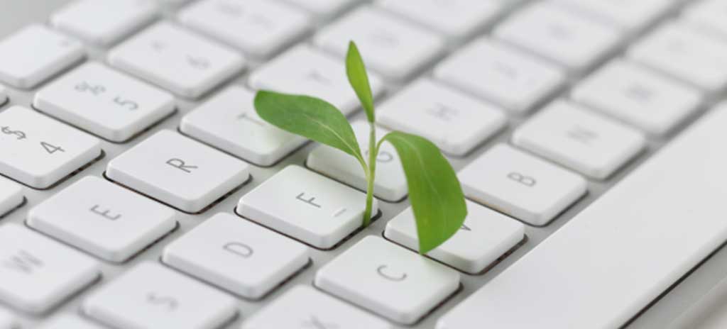 Les essentiels de la transition écologique – Formation en ligne elearning