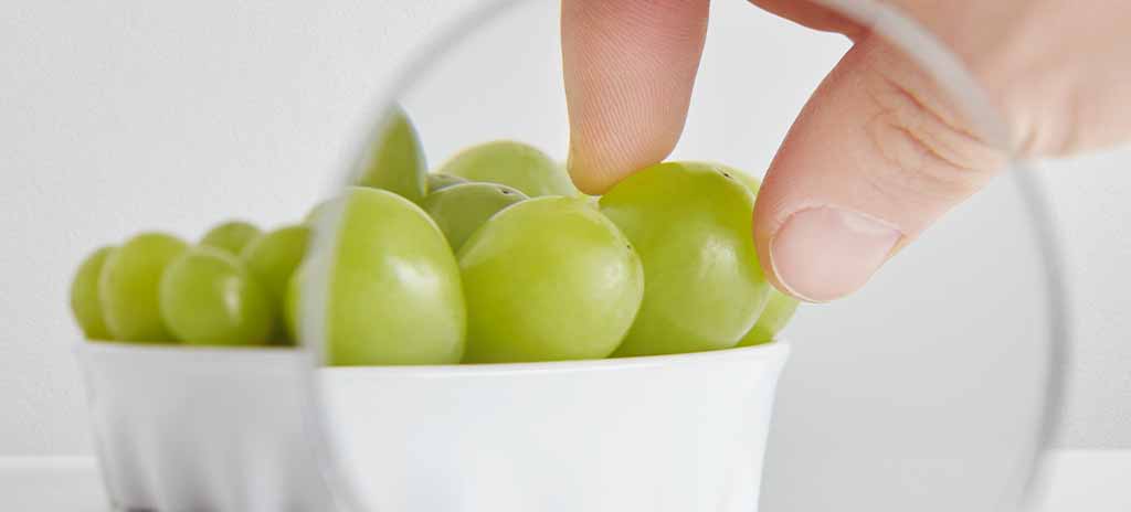 Nutrivigilance– Formation en ligne elearning